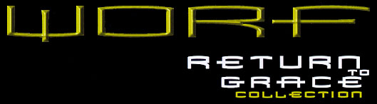 Worf: Return to Grace