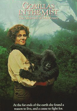 Gorillas in the Mist