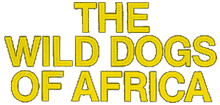 The Wild Dogs of Africa