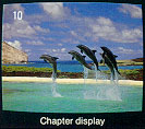 Chapter Display